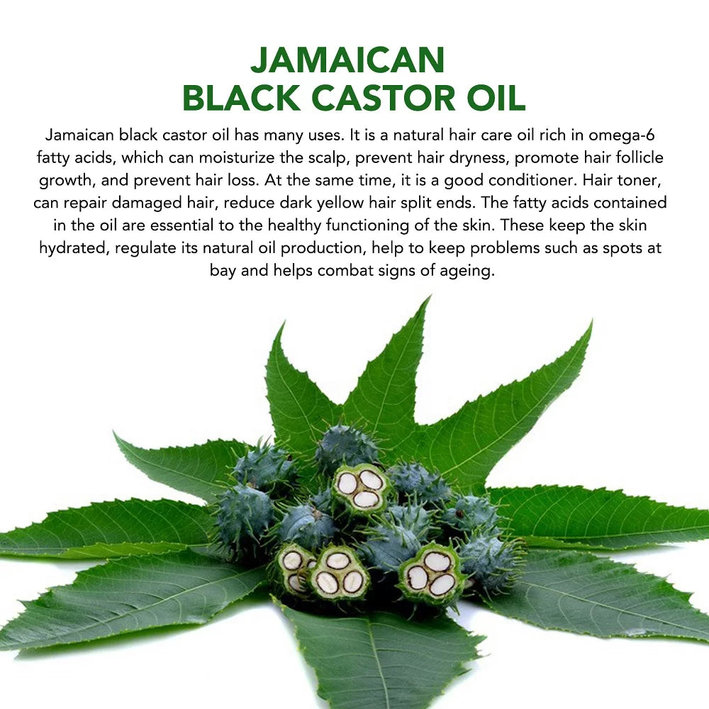 Jamaican Black Castor Oil for Hair Growth & Skin Conditioning - Nourishes and Hydrates Hair, Skin & Nails - 100% Pure Cold Pressed - 2 Oz